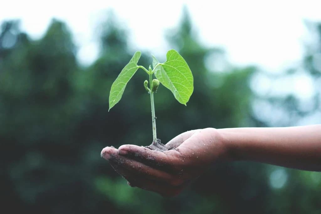blog cover image